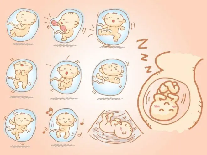 Làm sao để biết thai nhi đang thức
